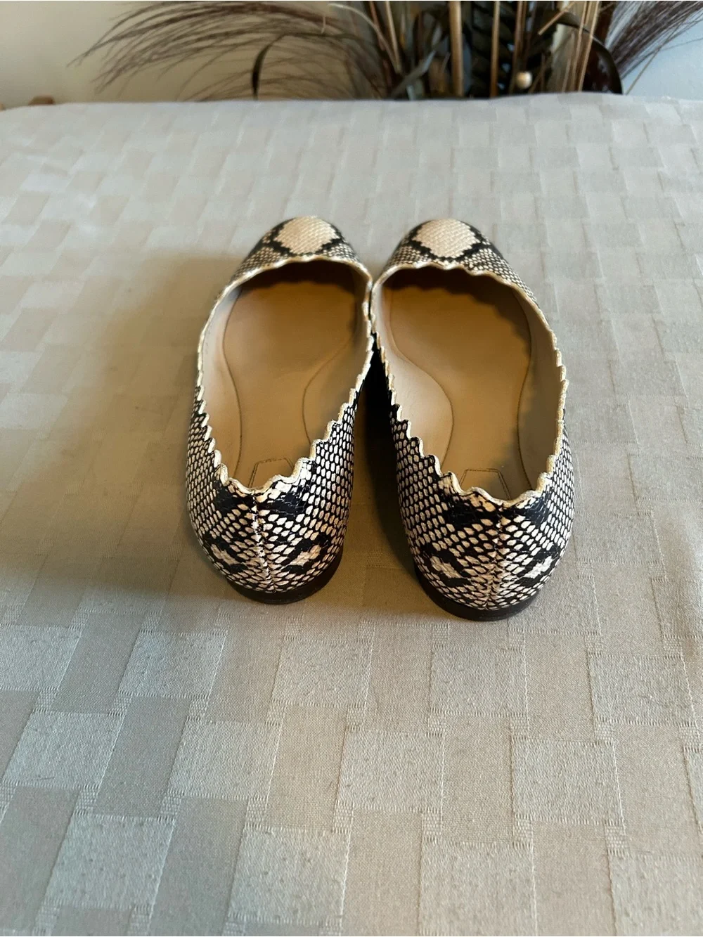 Chloe Lauren Python Embossed Scalloped Leather Ballet Flats